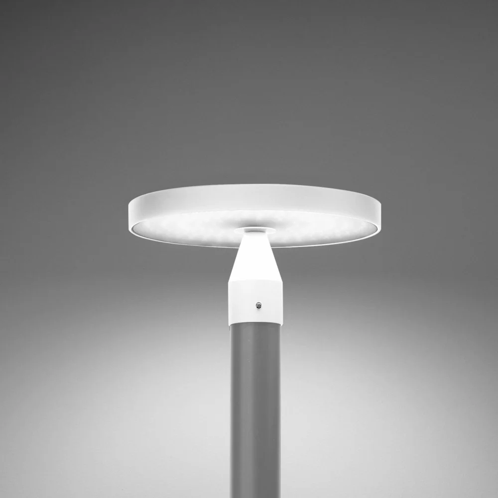 Nobile Pin Palo
